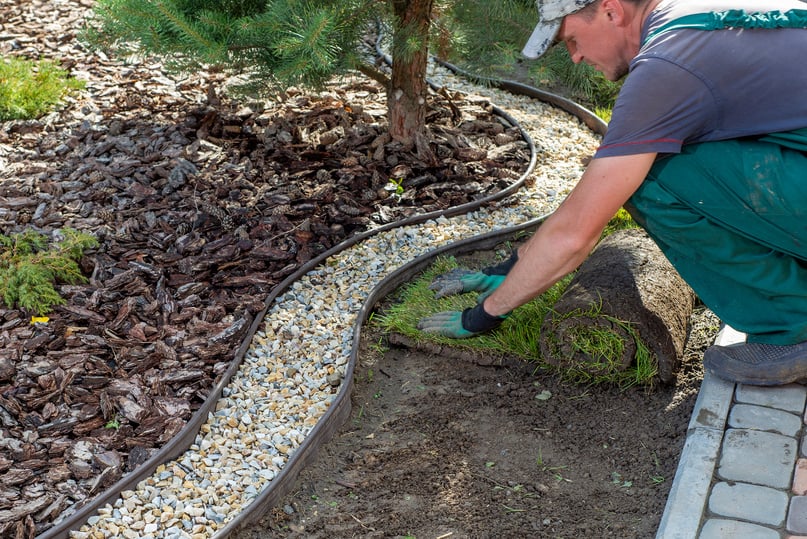 Landscape Gardener Laying Turf For New Lawn